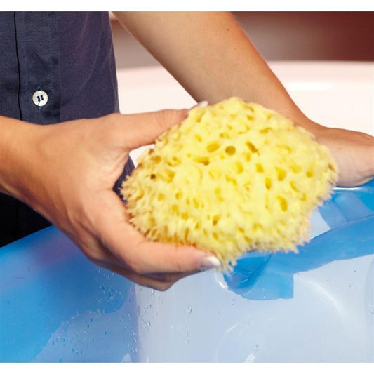 Doğal Banyo Süngeri / Orta No12