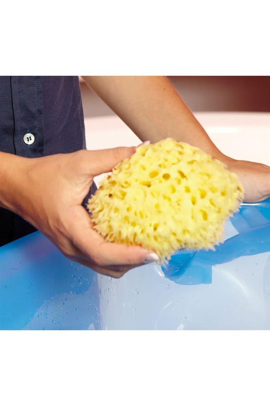 Doğal Büyük Banyo Süngeri No 14