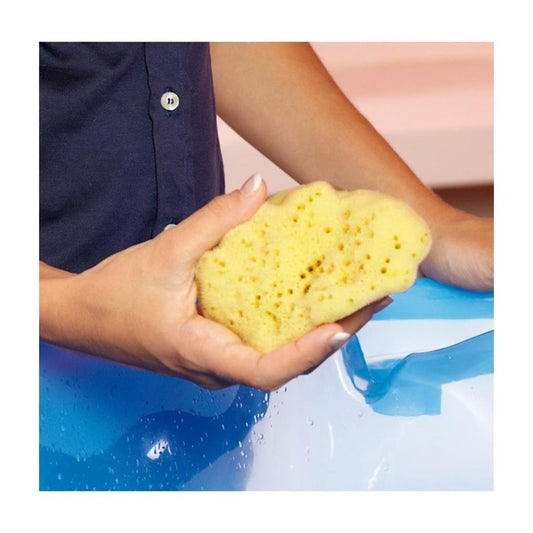 İnce Dokulu Doğal Banyo Süngeri / Büyük